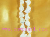16" five strands round teeth shaped shell strands